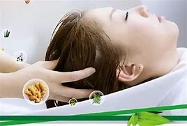 头皮护理